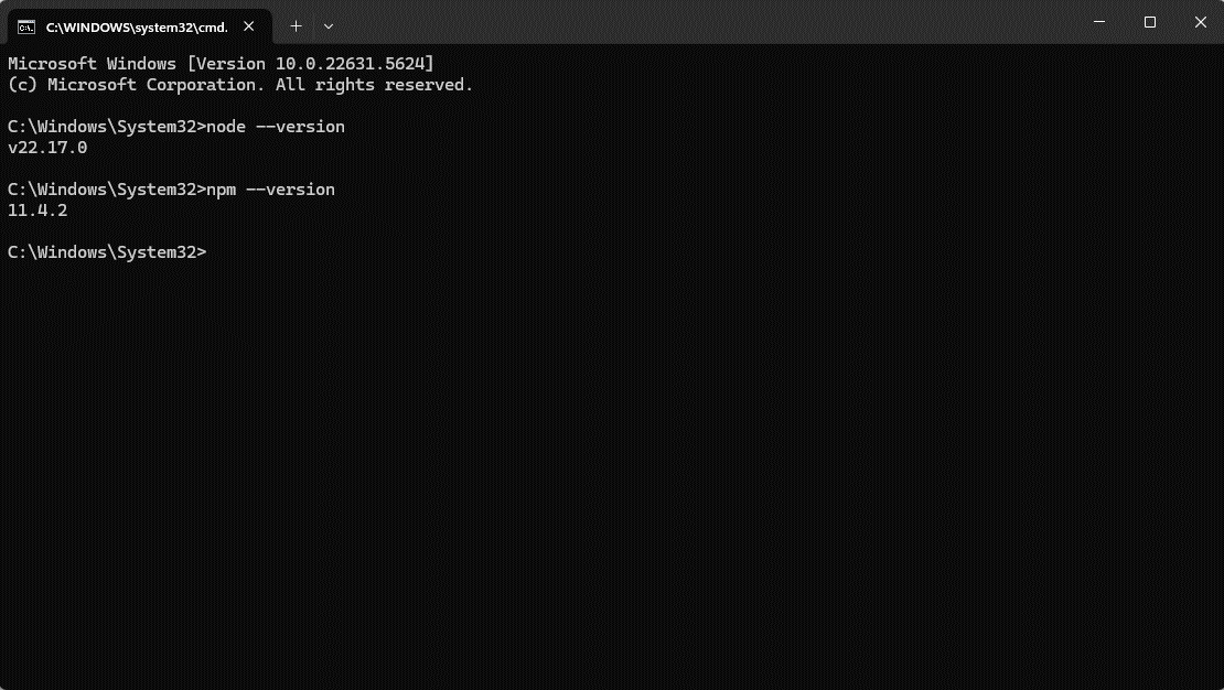 Check installation of Node.js and npm
